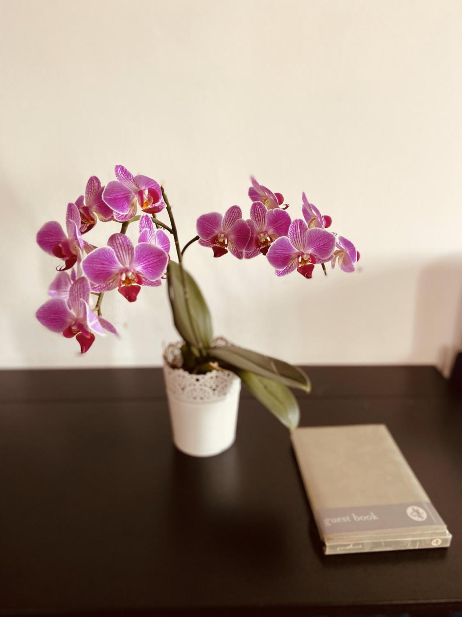 Apartamento Alfama Amazing Tagus Views Aircon *